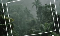 开云体育官网-球队赛前莫大期待，赛季备战迎接挑战春风得意的简单介绍