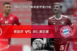 包含梅因茨主场劲胜，积分持续增加的词条
