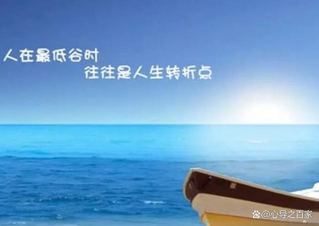 荷兰再遭挫败，陷入连败困境难以自拔的简单介绍